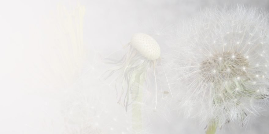 baner5